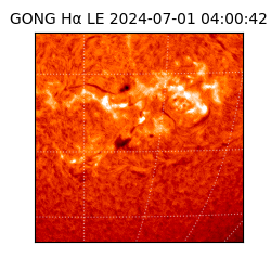 gong - 2024-07-01T04:00:42