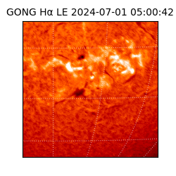 gong - 2024-07-01T05:00:42