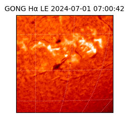 gong - 2024-07-01T07:00:42