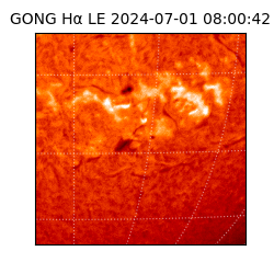 gong - 2024-07-01T08:00:42