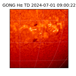 gong - 2024-07-01T09:00:22