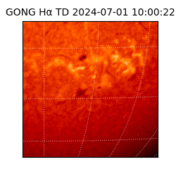 gong - 2024-07-01T10:00:22