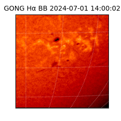 gong - 2024-07-01T14:00:02