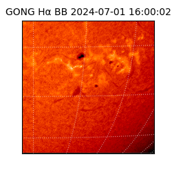 gong - 2024-07-01T16:00:02
