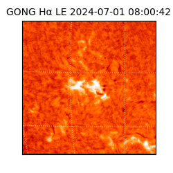 gong - 2024-07-01T08:00:42