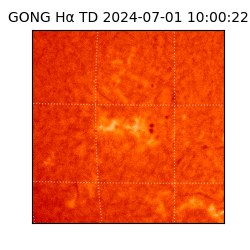 gong - 2024-07-01T10:00:22