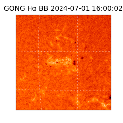 gong - 2024-07-01T16:00:02