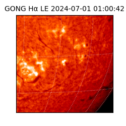 gong - 2024-07-01T01:00:42