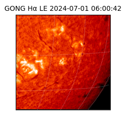 gong - 2024-07-01T06:00:42