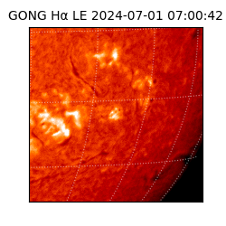 gong - 2024-07-01T07:00:42