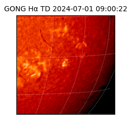 gong - 2024-07-01T09:00:22
