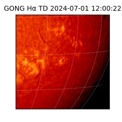 gong - 2024-07-01T12:00:22