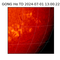gong - 2024-07-01T13:00:22