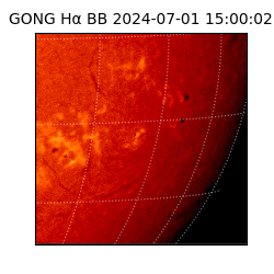 gong - 2024-07-01T15:00:02