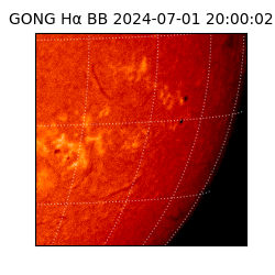 gong - 2024-07-01T20:00:02