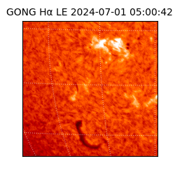 gong - 2024-07-01T05:00:42