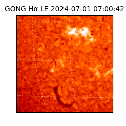gong - 2024-07-01T07:00:42