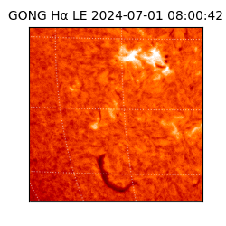 gong - 2024-07-01T08:00:42