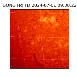 gong - 2024-07-01T09:00:22