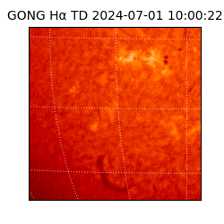 gong - 2024-07-01T10:00:22