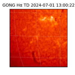 gong - 2024-07-01T13:00:22