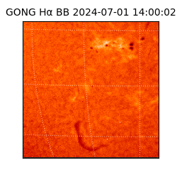 gong - 2024-07-01T14:00:02