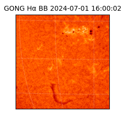 gong - 2024-07-01T16:00:02