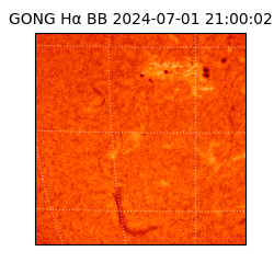 gong - 2024-07-01T21:00:02