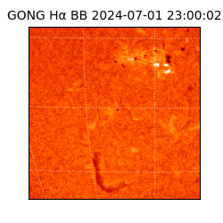 gong - 2024-07-01T23:00:02