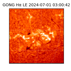 gong - 2024-07-01T03:00:42