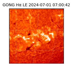 gong - 2024-07-01T07:00:42