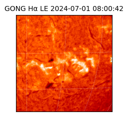 gong - 2024-07-01T08:00:42