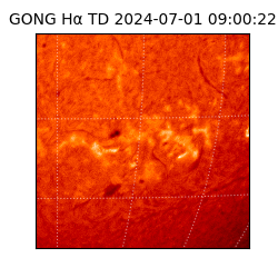 gong - 2024-07-01T09:00:22
