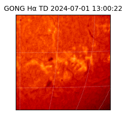 gong - 2024-07-01T13:00:22