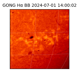 gong - 2024-07-01T14:00:02