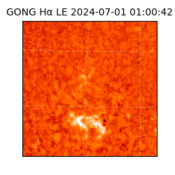 gong - 2024-07-01T01:00:42