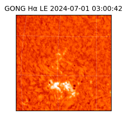 gong - 2024-07-01T03:00:42