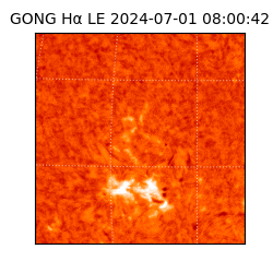 gong - 2024-07-01T08:00:42