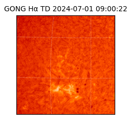 gong - 2024-07-01T09:00:22