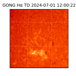 gong - 2024-07-01T12:00:22