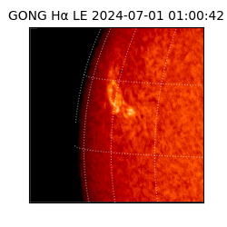 gong - 2024-07-01T01:00:42