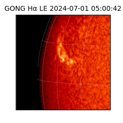 gong - 2024-07-01T05:00:42