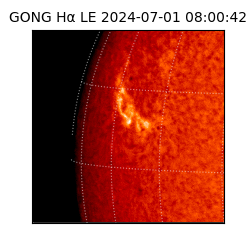 gong - 2024-07-01T08:00:42
