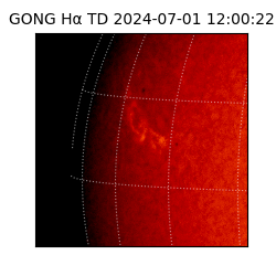 gong - 2024-07-01T12:00:22