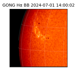 gong - 2024-07-01T14:00:02