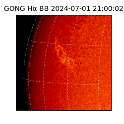 gong - 2024-07-01T21:00:02