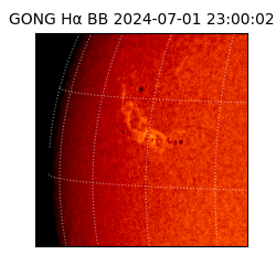 gong - 2024-07-01T23:00:02