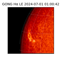 gong - 2024-07-01T01:00:42