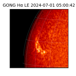 gong - 2024-07-01T05:00:42