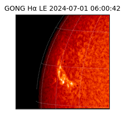 gong - 2024-07-01T06:00:42